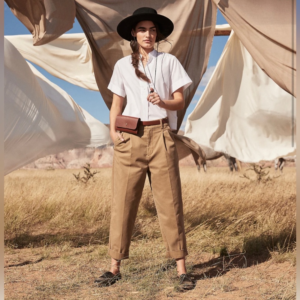 Banana Republic Pleaded Chino